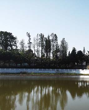 Ornamental Lake