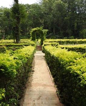 Silk Farm Rose Garden