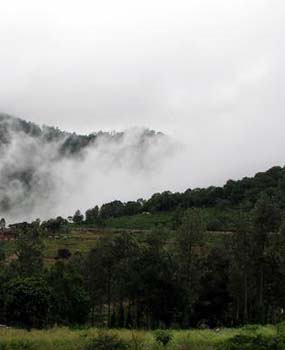 Tipperary View Point